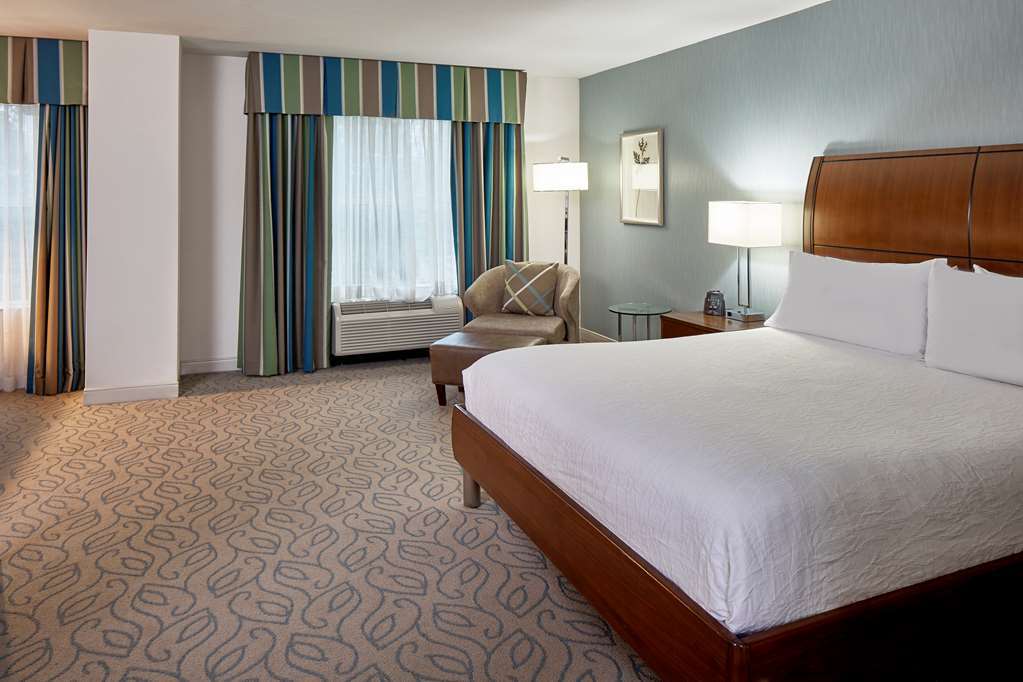 Hilton Garden Inn Atlanta Midtown Rum bild