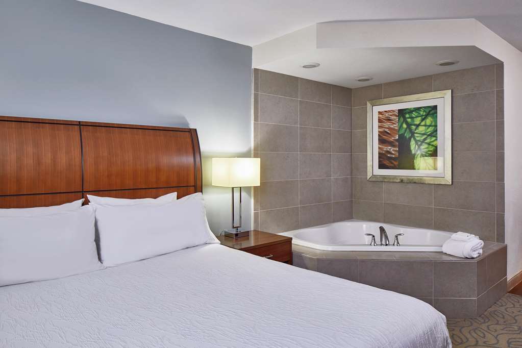 Hilton Garden Inn Atlanta Midtown Rum bild